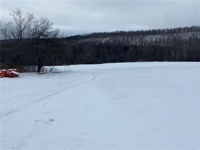 8470 Tabors Corner Rd, Springwater, NY 14572 - photo 3