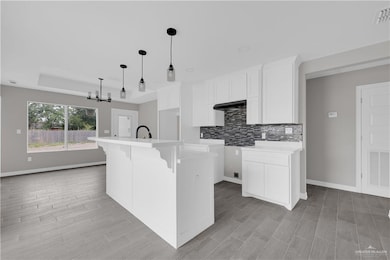 607 Tower Oak Dr, Alamo, TX 78516 - photo 6