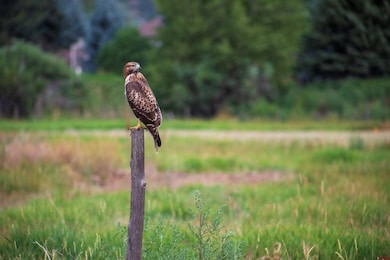 74 W Dalton Rd, Durango, CO 81301 - photo 2