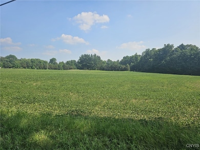 0 Clinton Rd, Weedsport, NY 13166 - photo 2