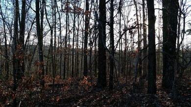 0 Pickering Dr unit 1073330, Bella Vista, AR 72714 - photo 2