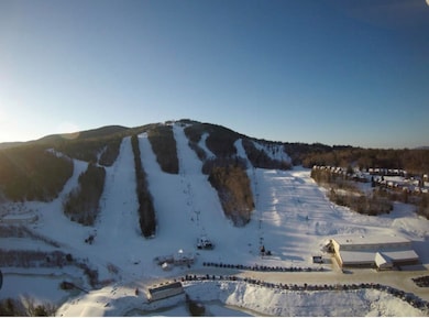 10 Onset Rd unit 32B, Bennington, NH 03442 - photo 2