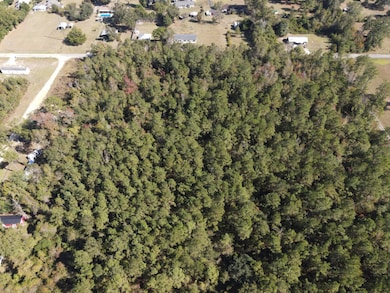 TBD S Main St, Blountstown, FL 32424 - photo 2