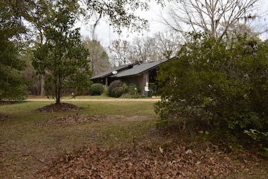 330 Jones River Rd, Camden, AL 36726 - photo 5