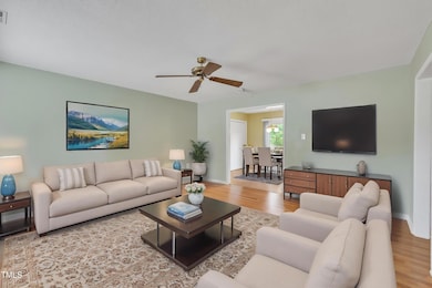 205-Lizzie-King-Ct-15 - Living Room - St