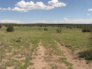 206b Bixler Trail, Ash Fork, AZ 86320 - photo 7