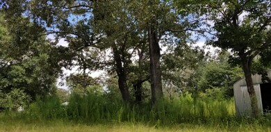 20180829_122213 (2)