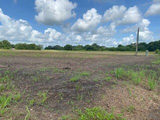 10351 Bushnell Rd, Needville, TX 77461 - photo 3