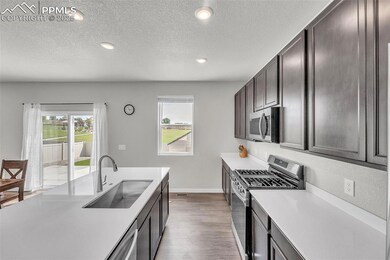 9735 Cronin St, Fountain, CO 80817 - photo 7