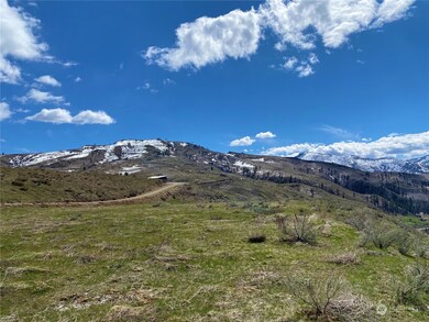 0 Lot 4 Steelhead Short Plat, Methow, WA 98834 - photo 6