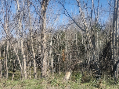 250 Lower Boundary Street at Eisenhower Pkwy, Macon, GA 31206 - photo 7