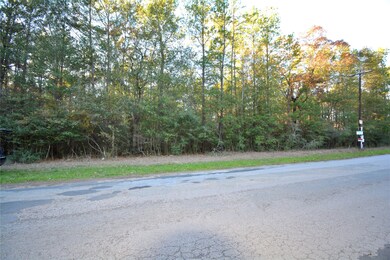 00 Little John Cir, Hockley, TX 77447 - photo 5