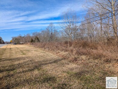0 A L Philpott Hwy, Martinsville, VA 24112 - photo 7
