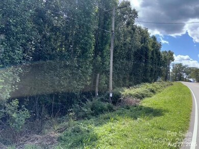 V/L Praley St SW, Valdese, NC 28690 - photo 5