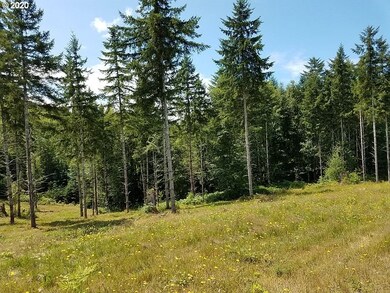 0 Oak Point Rd, Longview, WA 98632 - photo 7