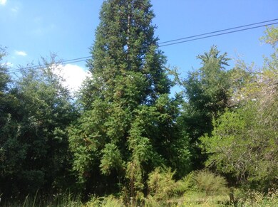 image5[1]