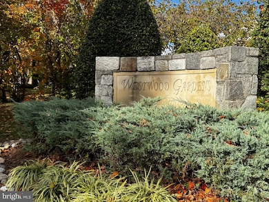 10859 Amherst Ave unit 202, Silver Spring, MD 20902 - photo 6