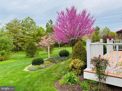 13190 Triple Crown Loop, Gainesville, VA 20155 - photo 4