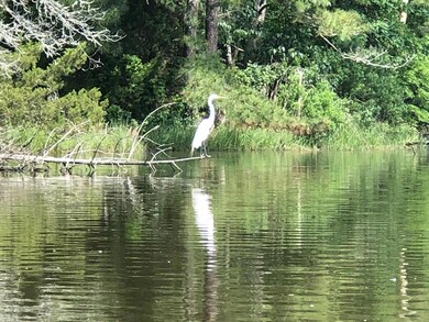 14264 Dogwood Ln, Belle Haven, VA 23306 - photo 7