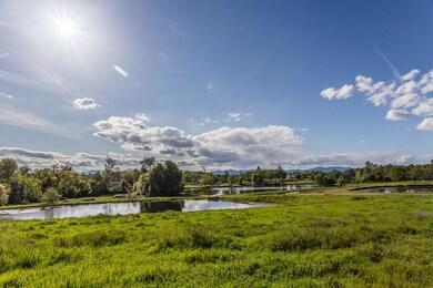 IMG_7895