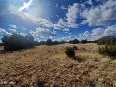 0 Cr 5120 unit 241418, Concho, AZ 85924 - photo 5