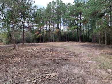 . Mcmillan Rd, Osyka, MS 39657 - photo 3