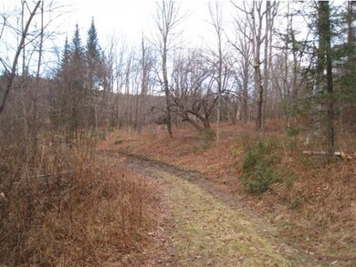 NW view