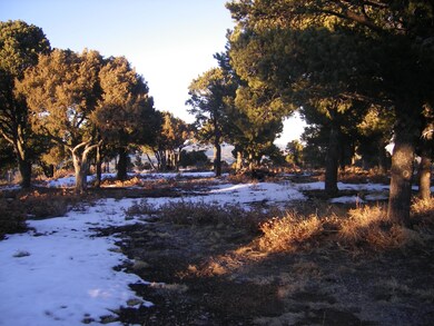 50 Pine Nut Dr unit 2/Lot 70, Trinidad, CO 81082 - photo 3