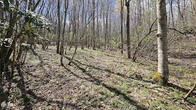 4183 Stone Mountain Rd, Coeburn, VA 24230 - photo 7