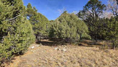 126 Cedar Ridge Rd, Mosca, CO 81146 - photo 3