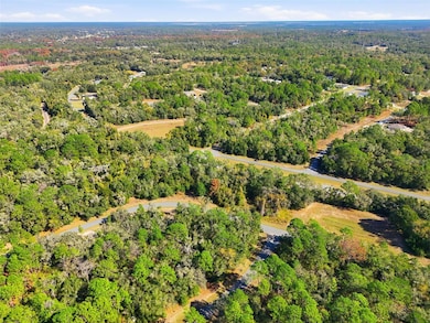 2237 W Striblin Dr, Dunnellon, FL 34434 - photo 5