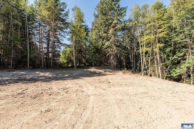 Lot 1 Sunny Dell Ln, Sequim, WA 98382 - photo 2