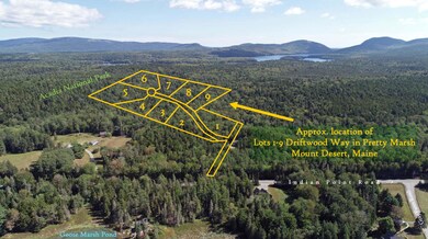 aerial overlay 1