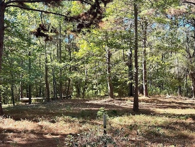 0 County Road 3568, Woodville, TX 75979 - photo 5