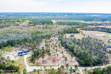 DJI_0534