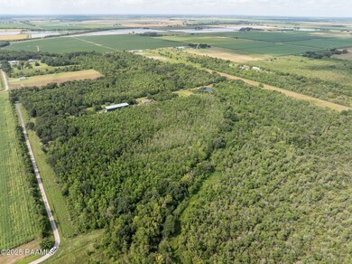 Tbd Flying F Ranch Rd, Indian Bayou, LA 70578 - photo 6