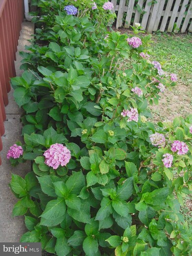 2723 Yarnall Rd, Halethorpe, MD 21227 - photo 4