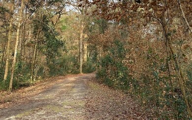 452 SW Bumble St, Fort White, FL 32038 - photo 2