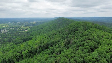 Old Alabama Hwy Ga-151, Ringgold, GA 30736 - photo 2
