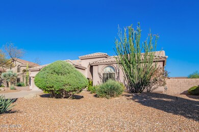 Desert Landscaping