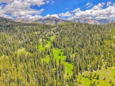 NHN Beehive Basin Rd, Big Sky, MT 59730 - photo 5