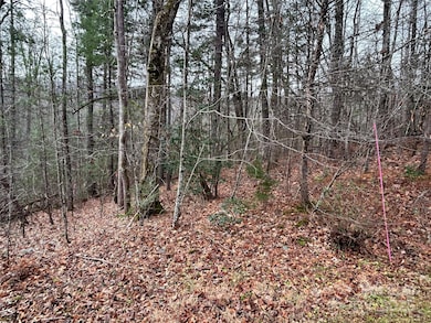 00 Cypress Creek Ln unit 22, Hendersonville, NC 28791 - photo 6