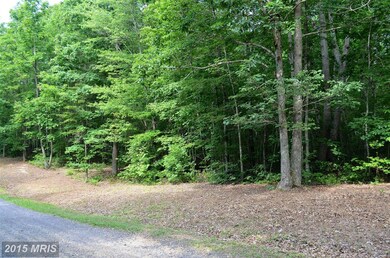 0 Bre Z Way Ln unit 1003061144, Lignum, VA 22726 - photo 5