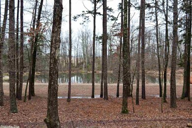 Pond