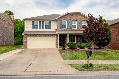 Beautiful, Mature Landscaping