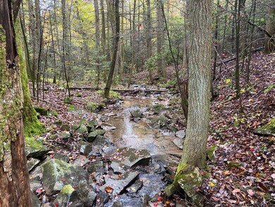 IMG_1570