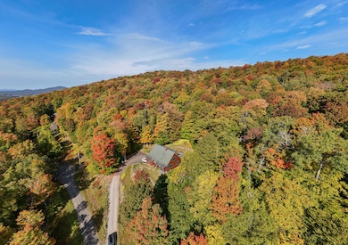 66 Dewey Mountain Rd, Saranac Lake, NY 12983 - photo 6