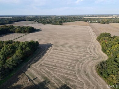 00 Union Grove Ave, Lagrange Township, IL 62246 - photo 4