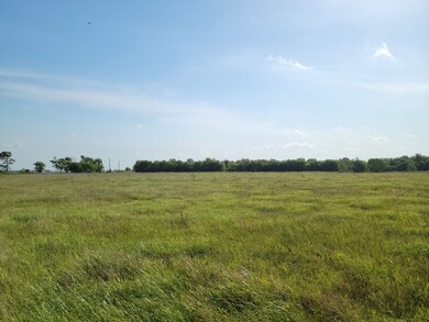 0 Cole Rd unit 776126, Bay City, TX 77414 - photo 3