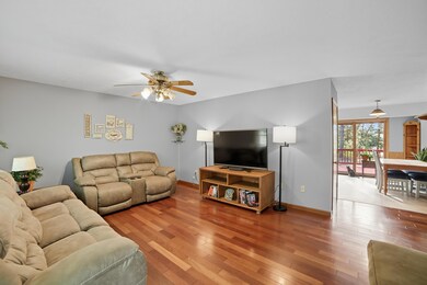 20755 200th Ave, Big Rapids, MI 49307 - photo 5